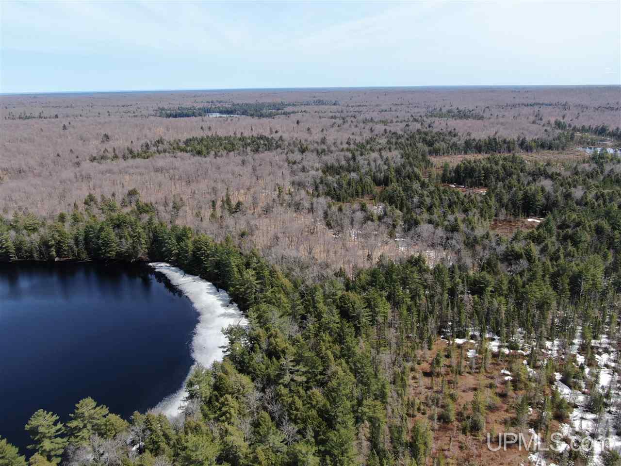 0 Old Seney Road Seney, MI 49883 - Photo 20 of 31