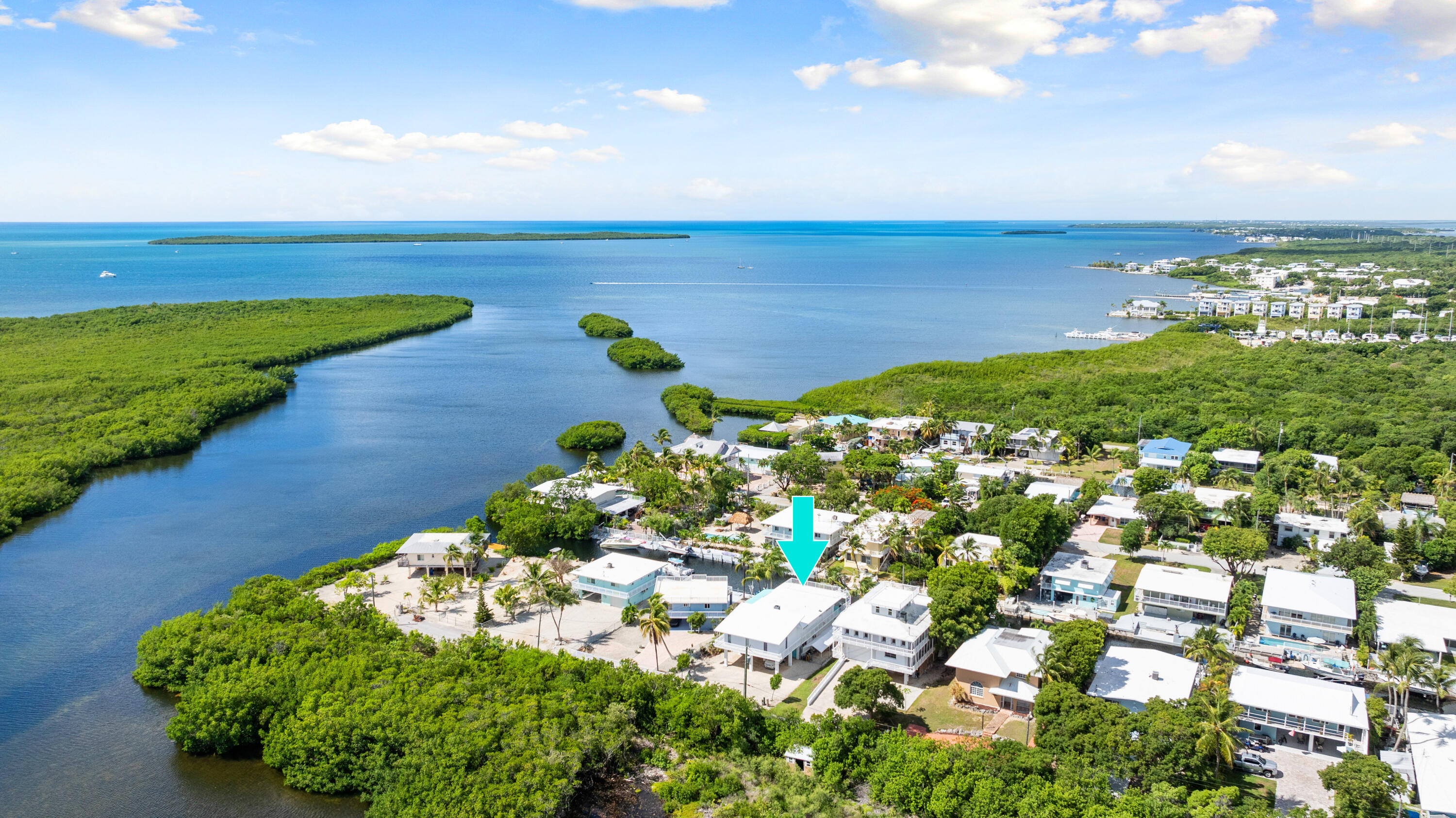 a view of a garden with an ocean