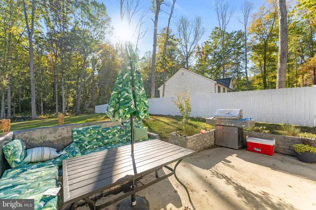 a view of a two chairs in the backyard