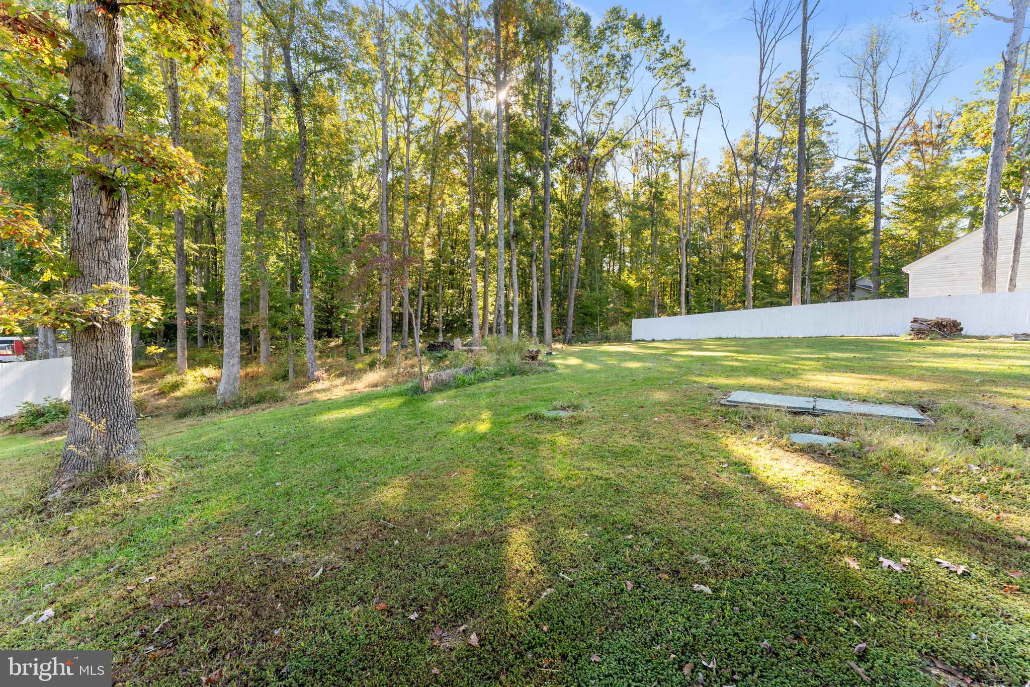 1322 Kennon Road Mineral, VA 23117 - Photo 21 of 27 a view of a trees with a yard