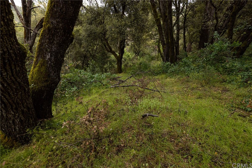 0 Hidden Falls Road Oakhurst, CA 93644 - Photo 1 of 7 Gallery Image 1