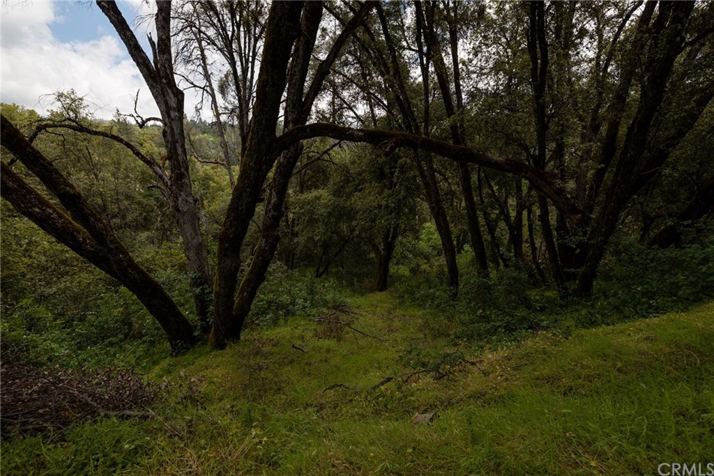 0 Hidden Falls Road Oakhurst, CA 93644 - Photo 3 of 7 Gallery Image 3