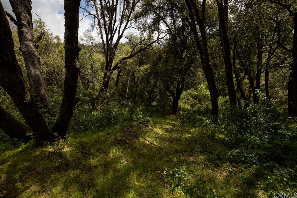 0 Hidden Falls Road Oakhurst, CA 93644 - Photo 4 of 7 Gallery Image 4