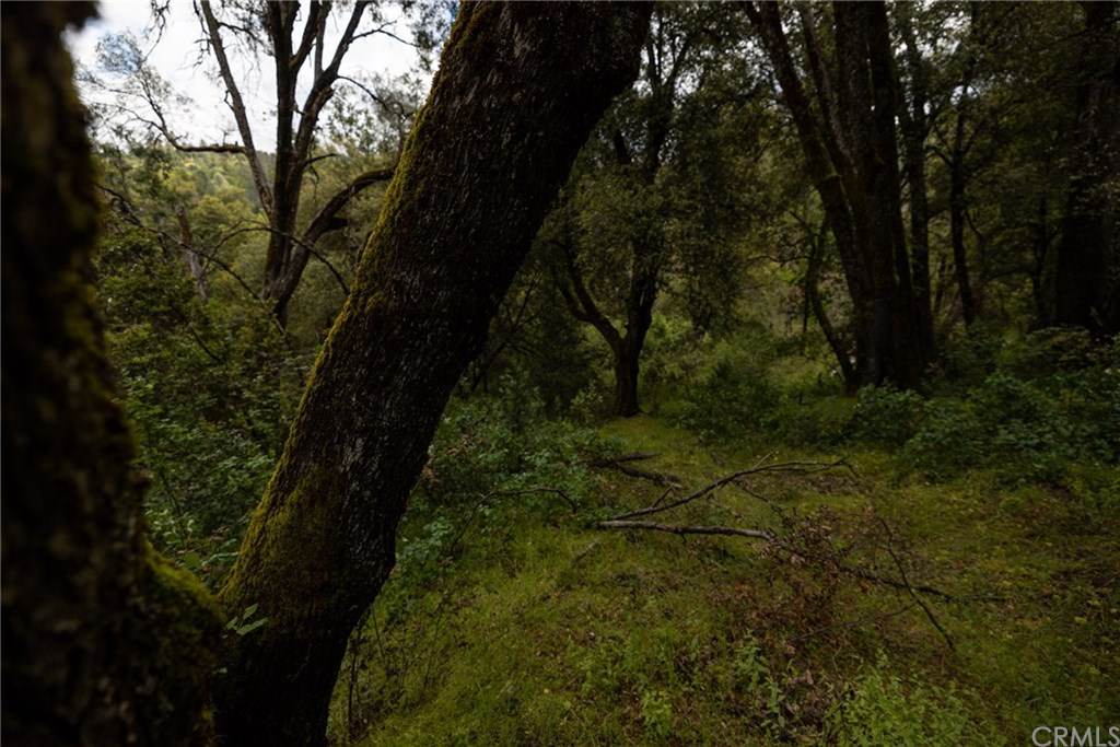 0 Hidden Falls Road Oakhurst, CA 93644 - Photo 5 of 7 Gallery Image 5
