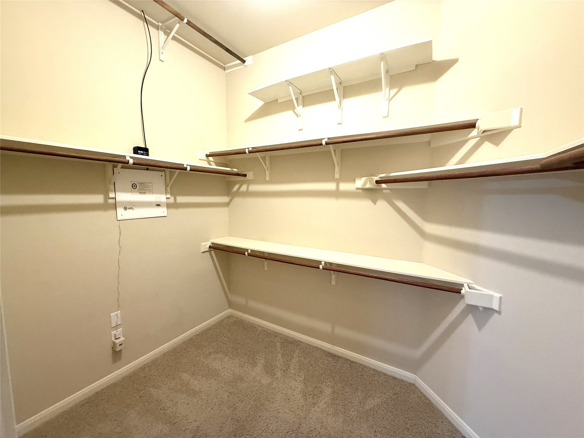 608 Pebblestone Walk Drive Cedar Park, TX 78613 - Photo 15 of 27 Walk in closet with light carpet