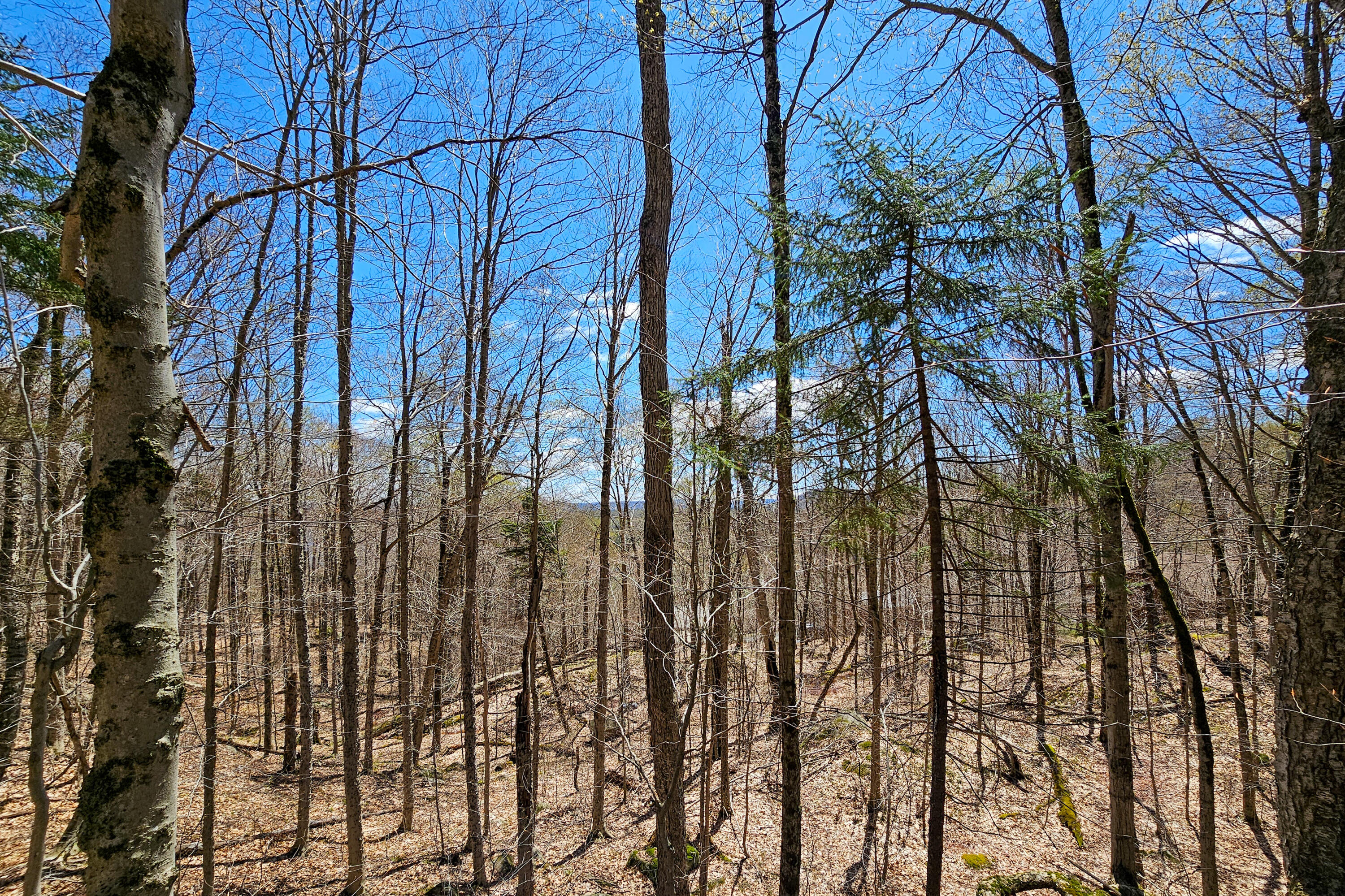 0 Palisades Road West Old Forge, NY 13420 - Photo 2 of 15 Filtered Mountain Views