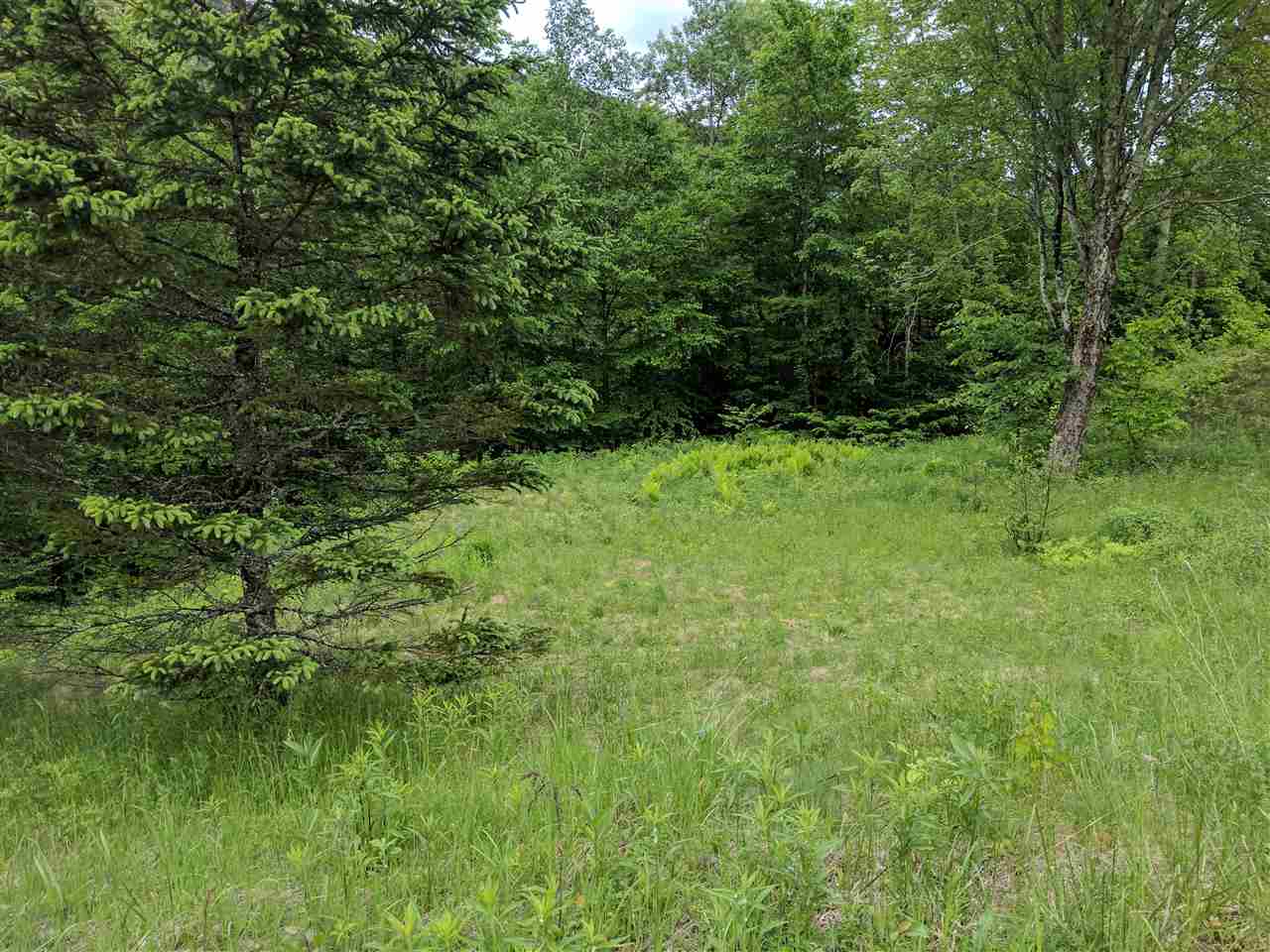 2 Rt 4 Route, Unit 134721182 LOT NO 2 Killington, VT 05751 - Photo 1 of 3