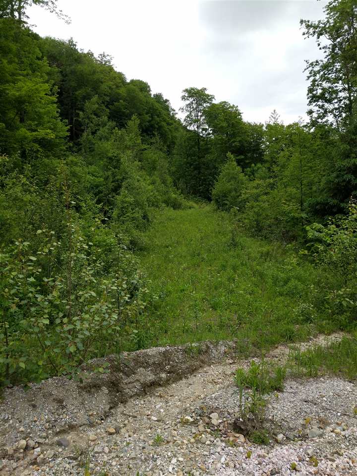 2 Rt 4 Route, Unit 134721182 LOT NO 2 Killington, VT 05751 - Photo 2 of 3