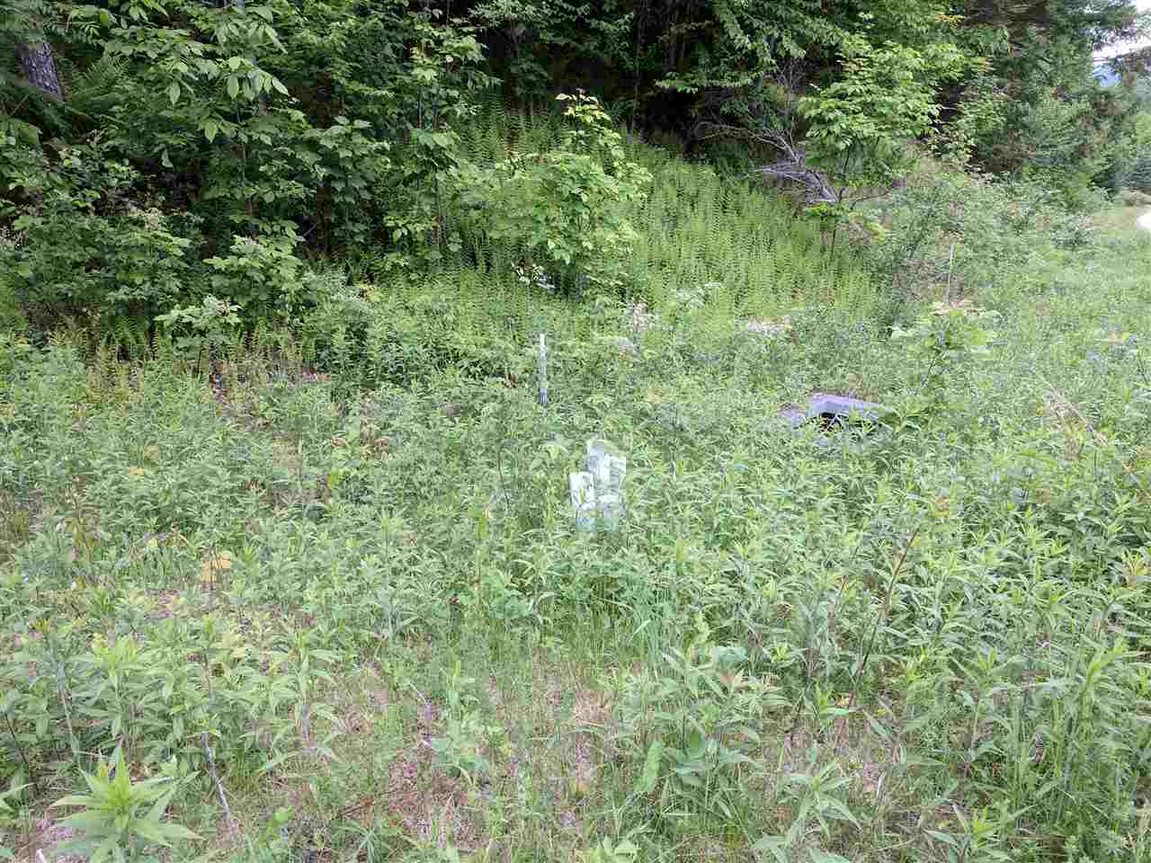 2 Rt 4 Route, Unit 134721182 LOT NO 2 Killington, VT 05751 - Photo 3 of 3