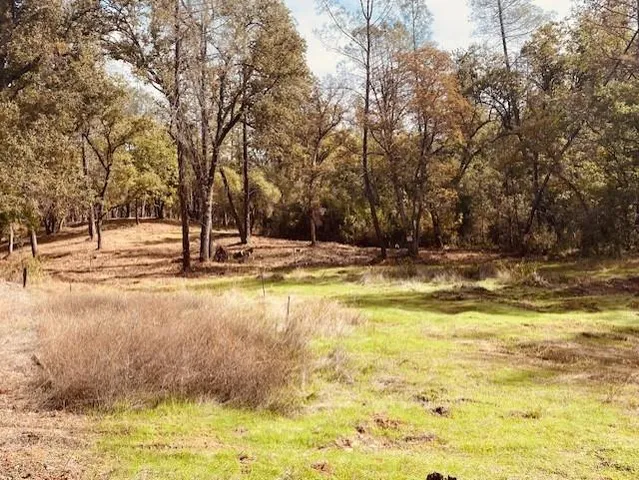 a view of a swimming pool with an outdoor space