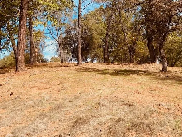 a view of a yard with snow on the road