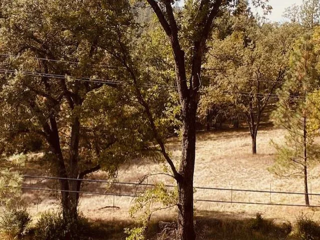 a view of mountain view with large trees