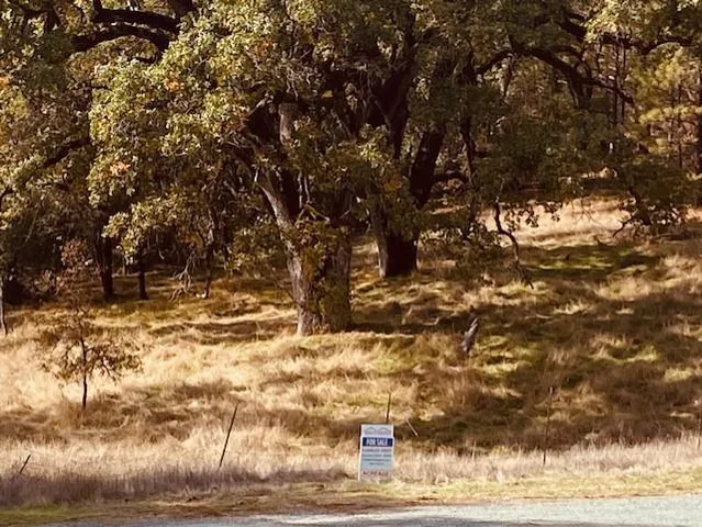 a view of snow on the road