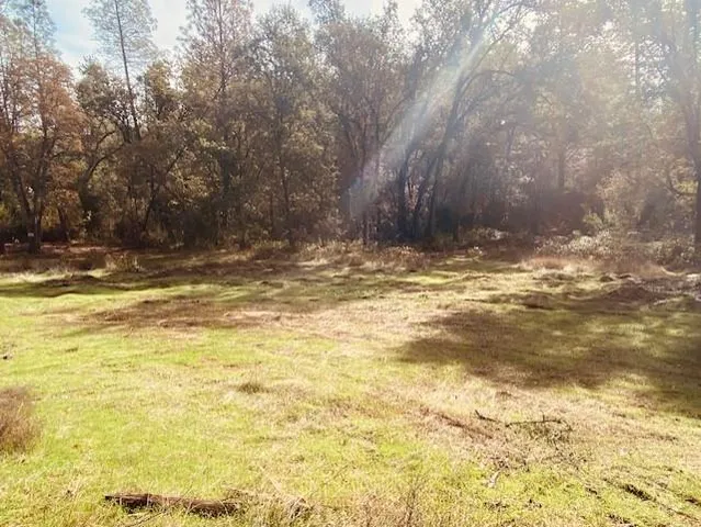 a view of a backyard of house
