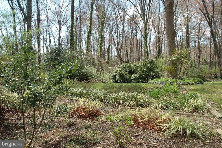 7802 Elba Road Alexandria, VA 22306 - Photo 2 of 13 Back yard