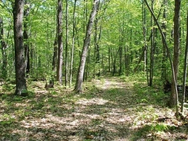 5691 Oak Ridge Drive Gladwin, MI 48624 - Photo 29 of 74