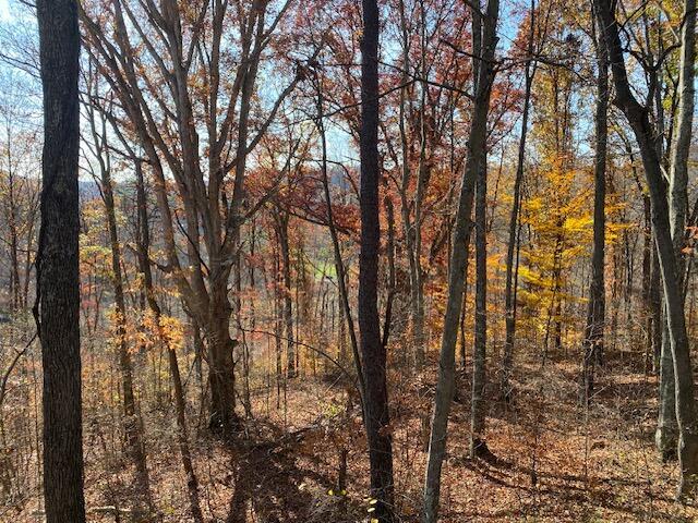 0 East Fork Road Laurelville, OH 43135 - Photo 15 of 16 IMG_0288