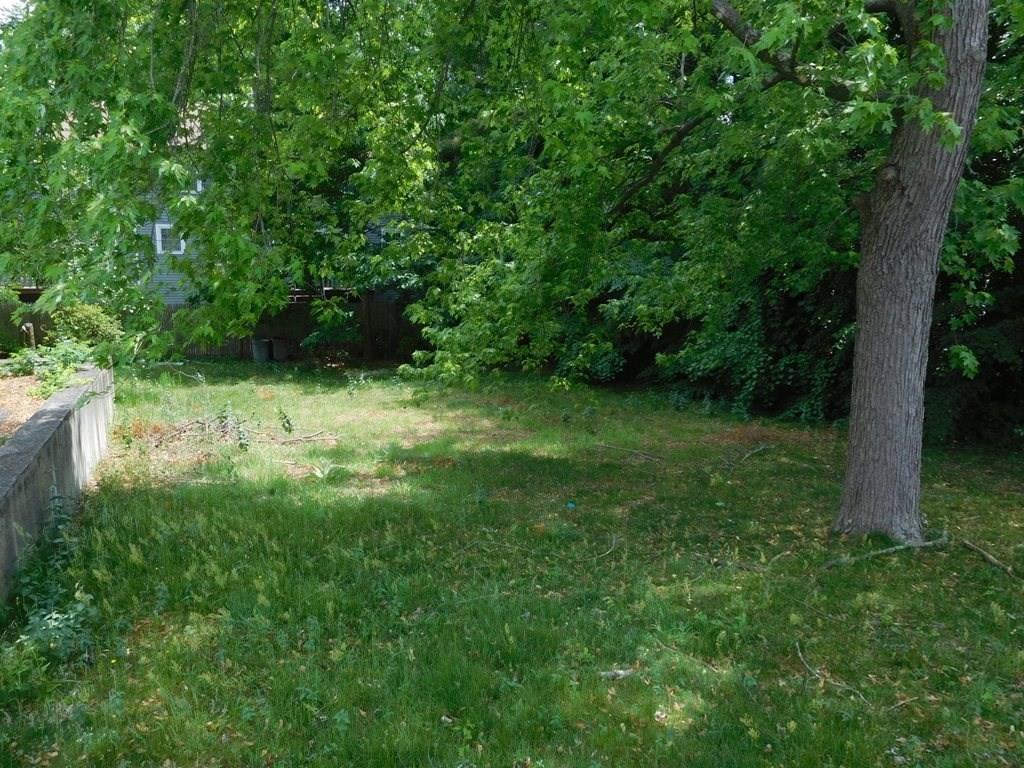 19 Juniper Street Lowell, MA 01852 - Photo 5 of 24 a backyard of a house with lots of green space
