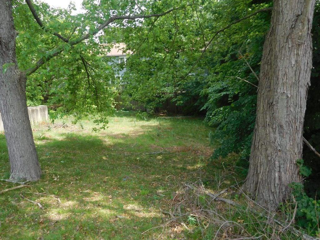 19 Juniper Street Lowell, MA 01852 - Photo 9 of 24 a view of a lush green space