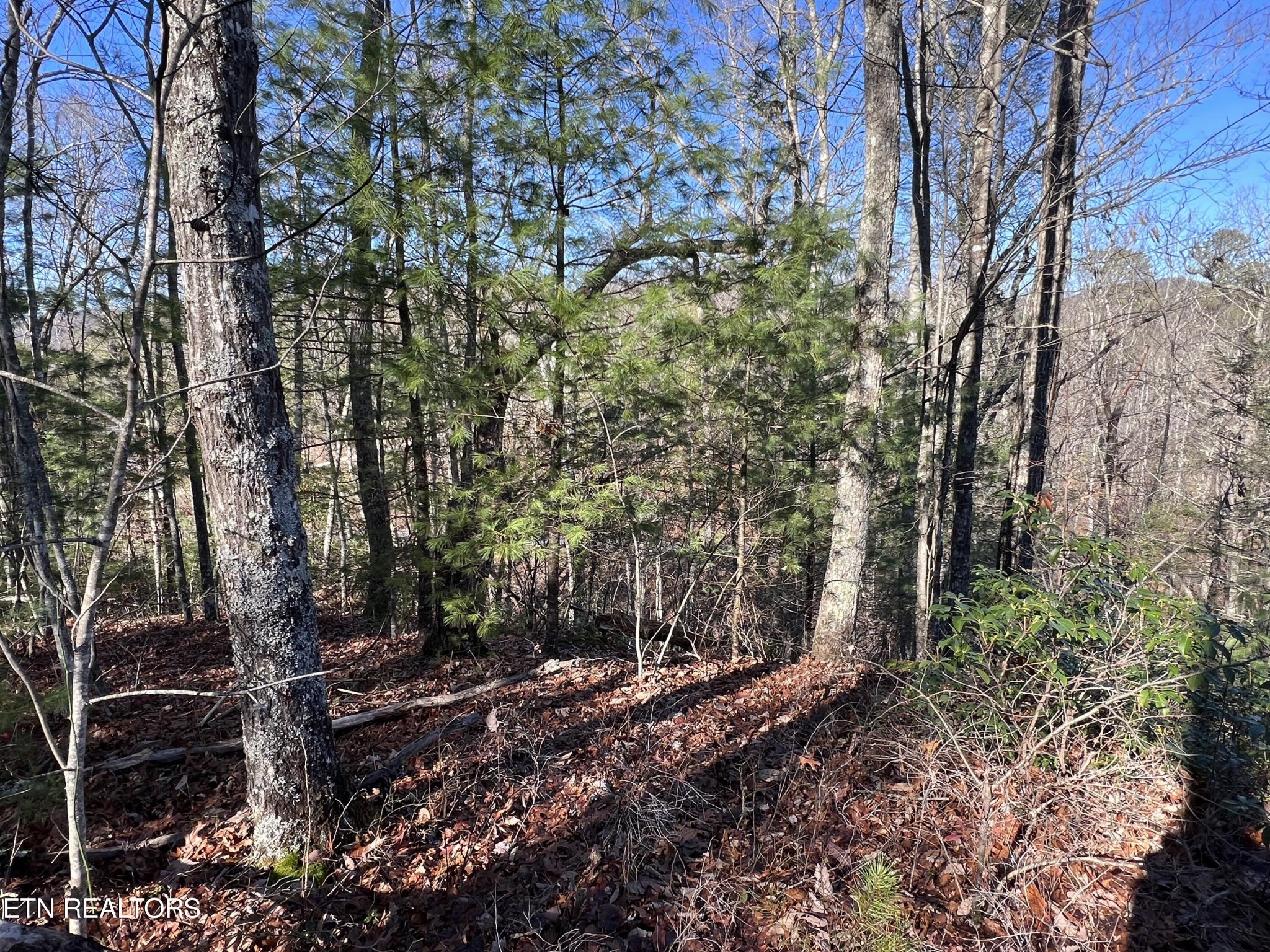 79 Long Rifle Road Walland, TN 37886 - Photo 11 of 17 Gallery Image 11