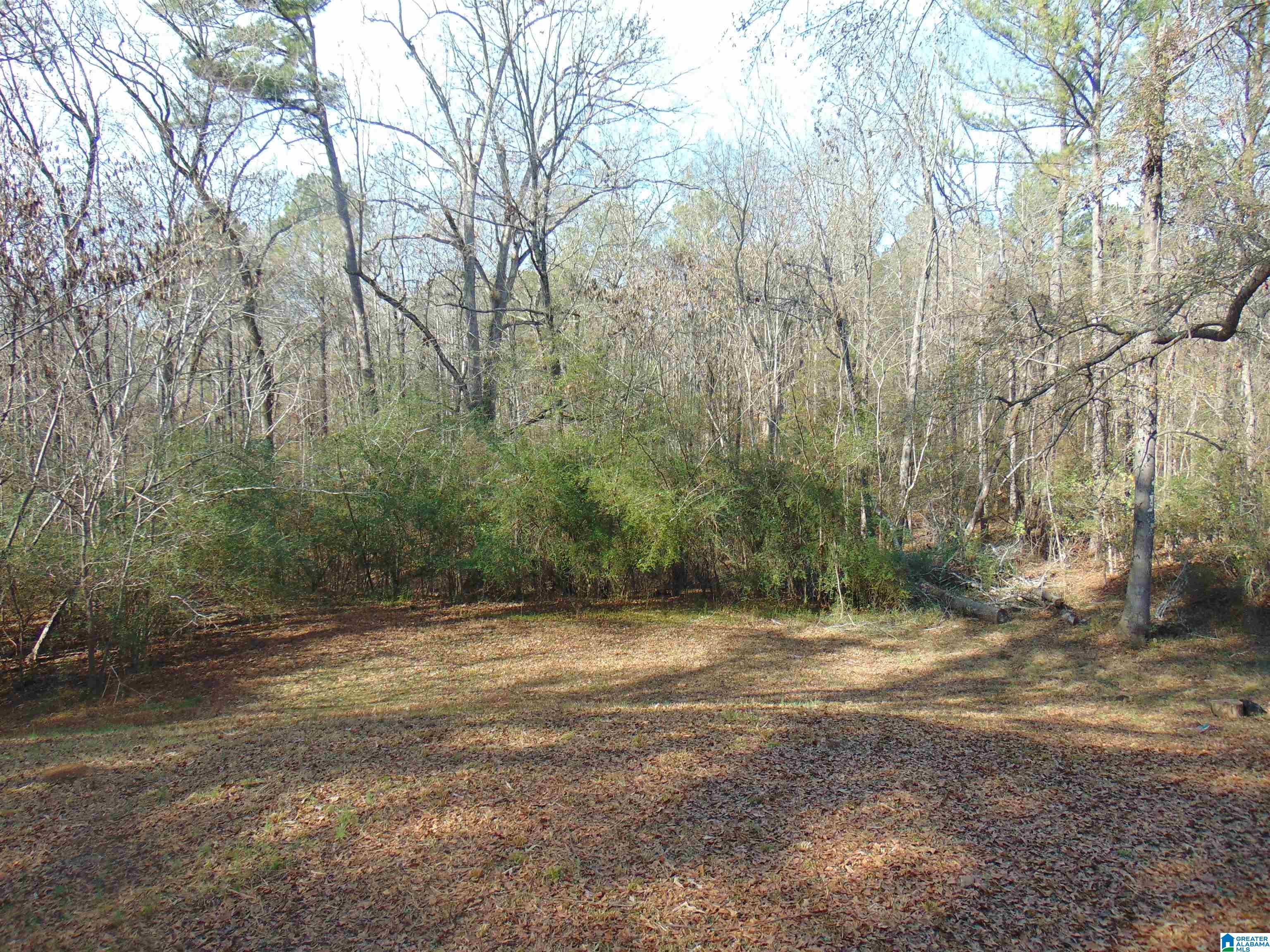 7223 Silver Lane Adger, AL 35006 - Photo 27 of 29
