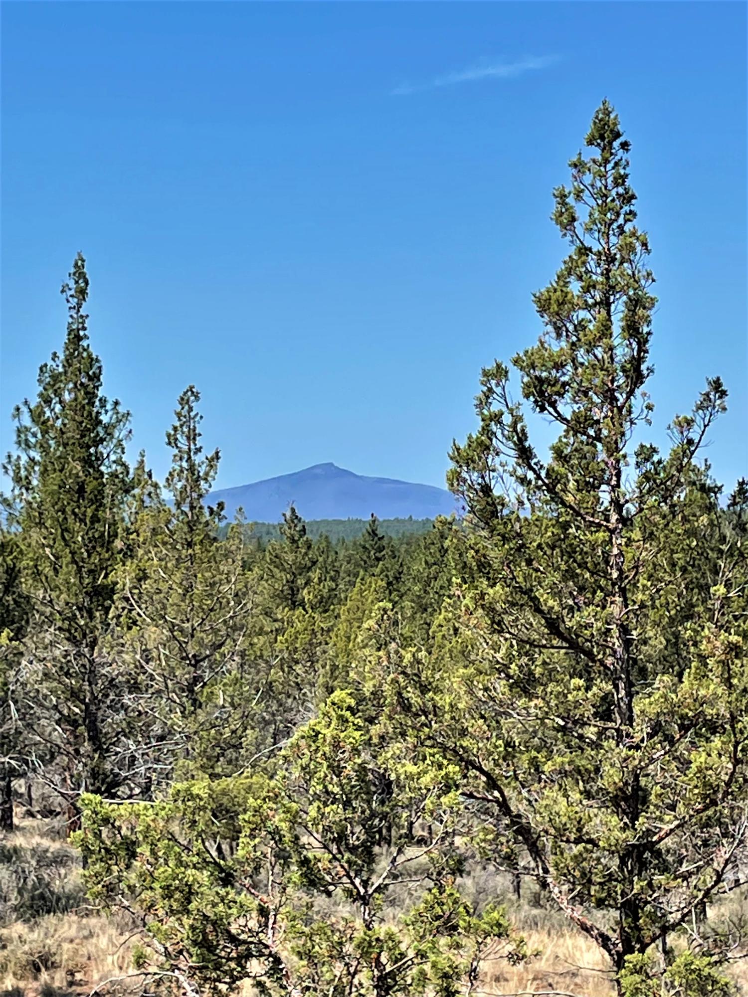 17665 Tinker Bell Road Sisters, OR 97759 - Photo 14 of 20 14
