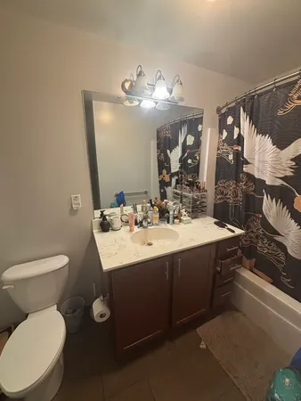 a bathroom with a sink mirror and toilet