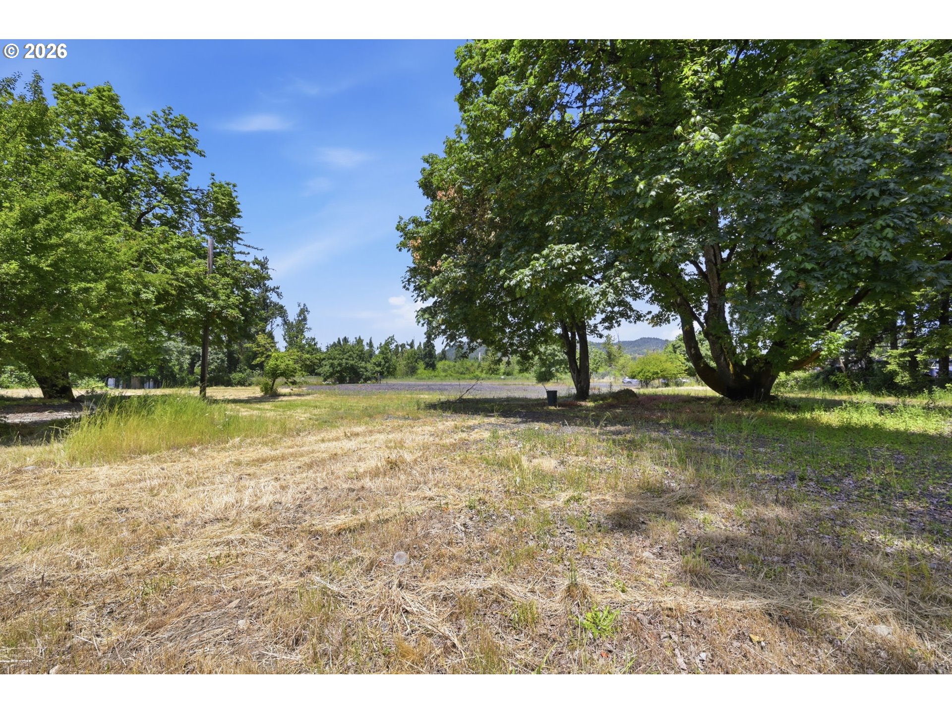 0 Brabham Road Pleasant Hill, OR 97455 - Photo 10 of 16