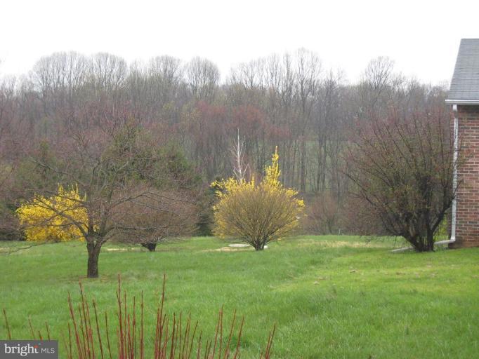 2710 Flintstone Road Freeland, MD 21053 - Photo 15 of 15 Wooded View / Acreage