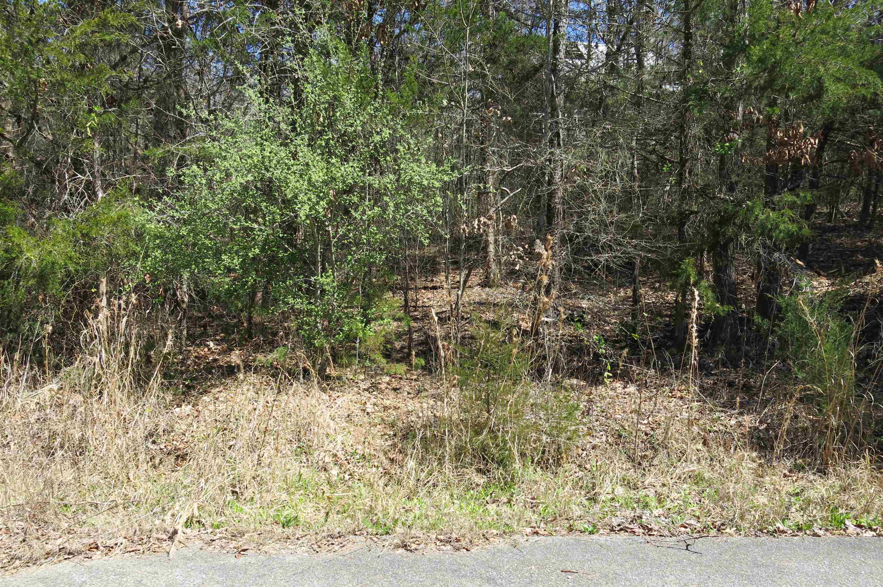 Caldwell Road Blacksburg, SC 29702 - Photo 8 of 11 Gallery Image 8