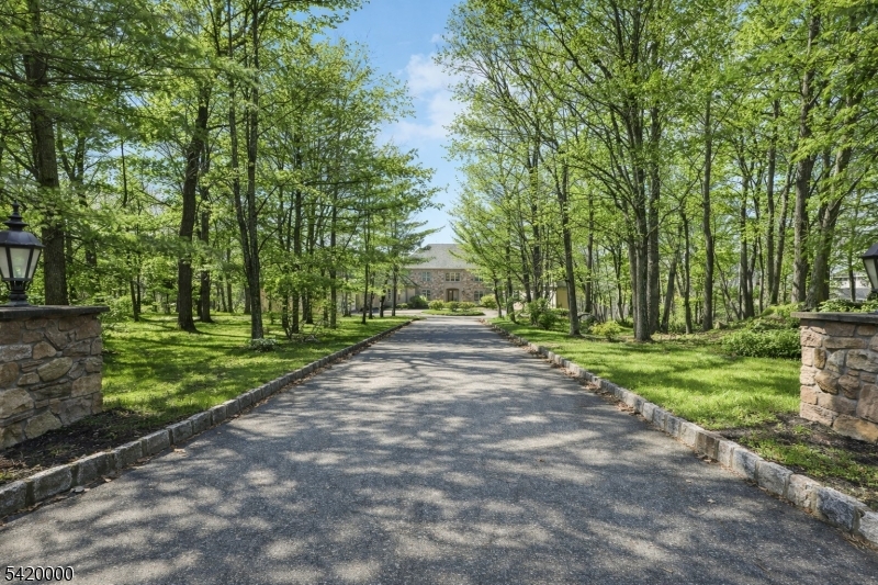 29 Hilltop Road Kinnelon, NJ 07405 - Photo 2 of 50 a view of park with tree