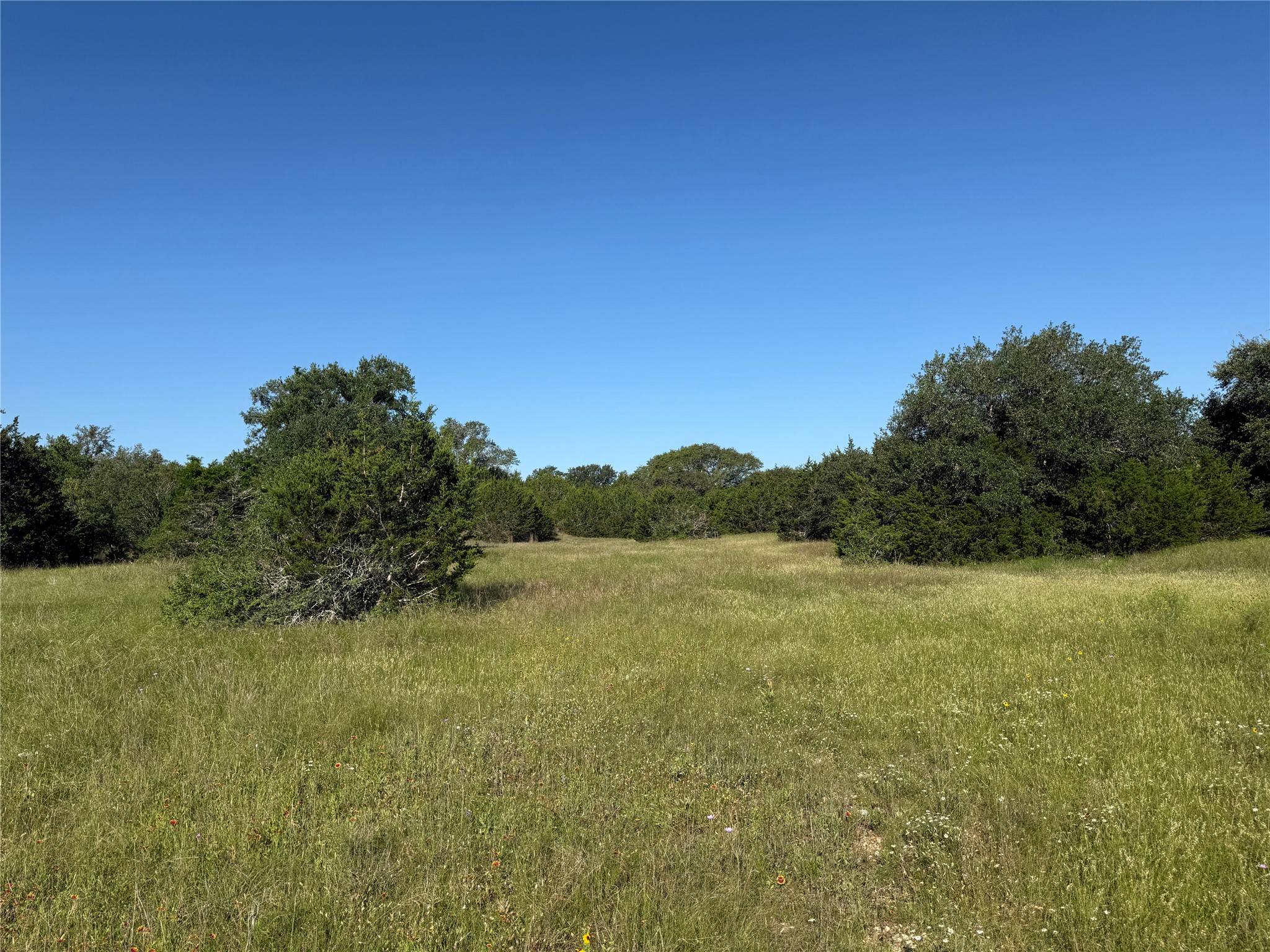 1 Shiny Top Ranch Lane Salado, TX 76571 - Photo 3 of 9 a view of an outdoor space and a yard