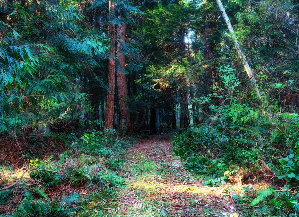 1126 Lopez Sound Road Lopez Island, WA 98261 - Photo 3 of 9