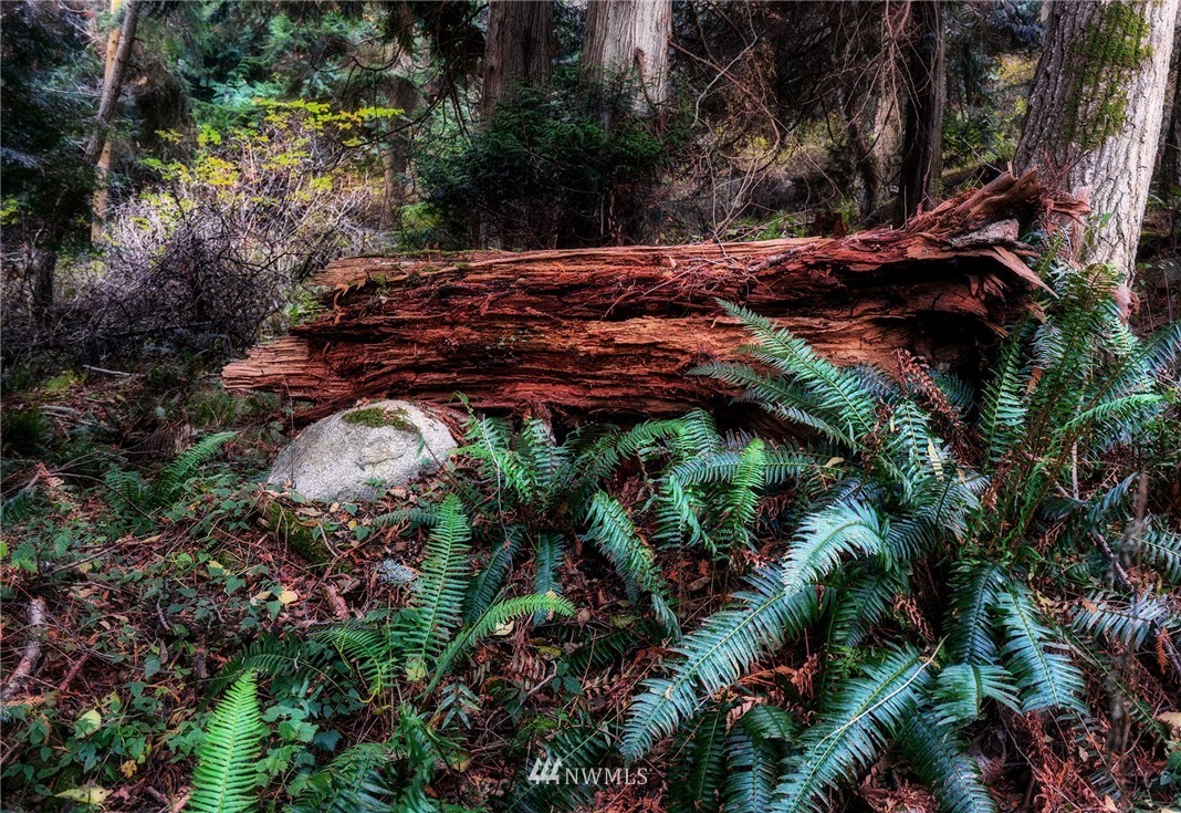 1126 Lopez Sound Road Lopez Island, WA 98261 - Photo 5 of 9