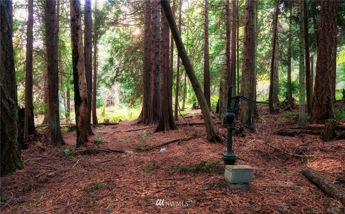 1126 Lopez Sound Road Lopez Island, WA 98261 - Photo 7 of 9