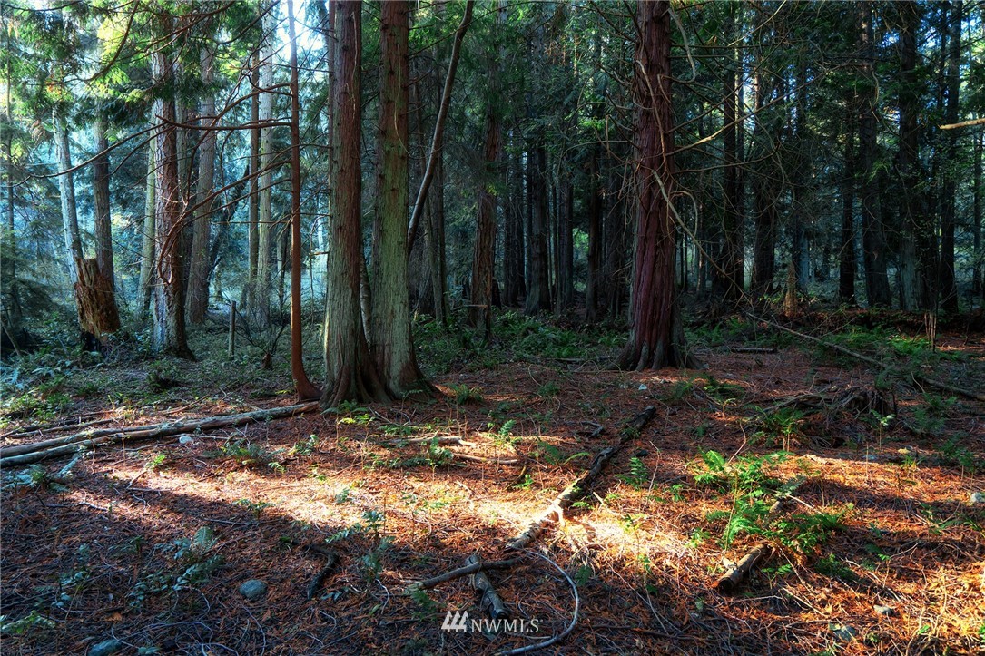 1126 Lopez Sound Road Lopez Island, WA 98261 - Photo 8 of 9
