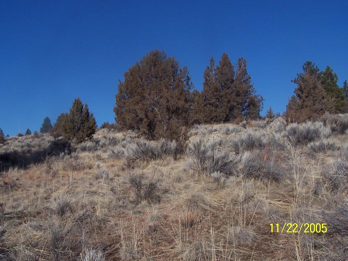 0 Valley View Drive Beatty, OR 97621 - Photo 10 of 11 Additional Photo