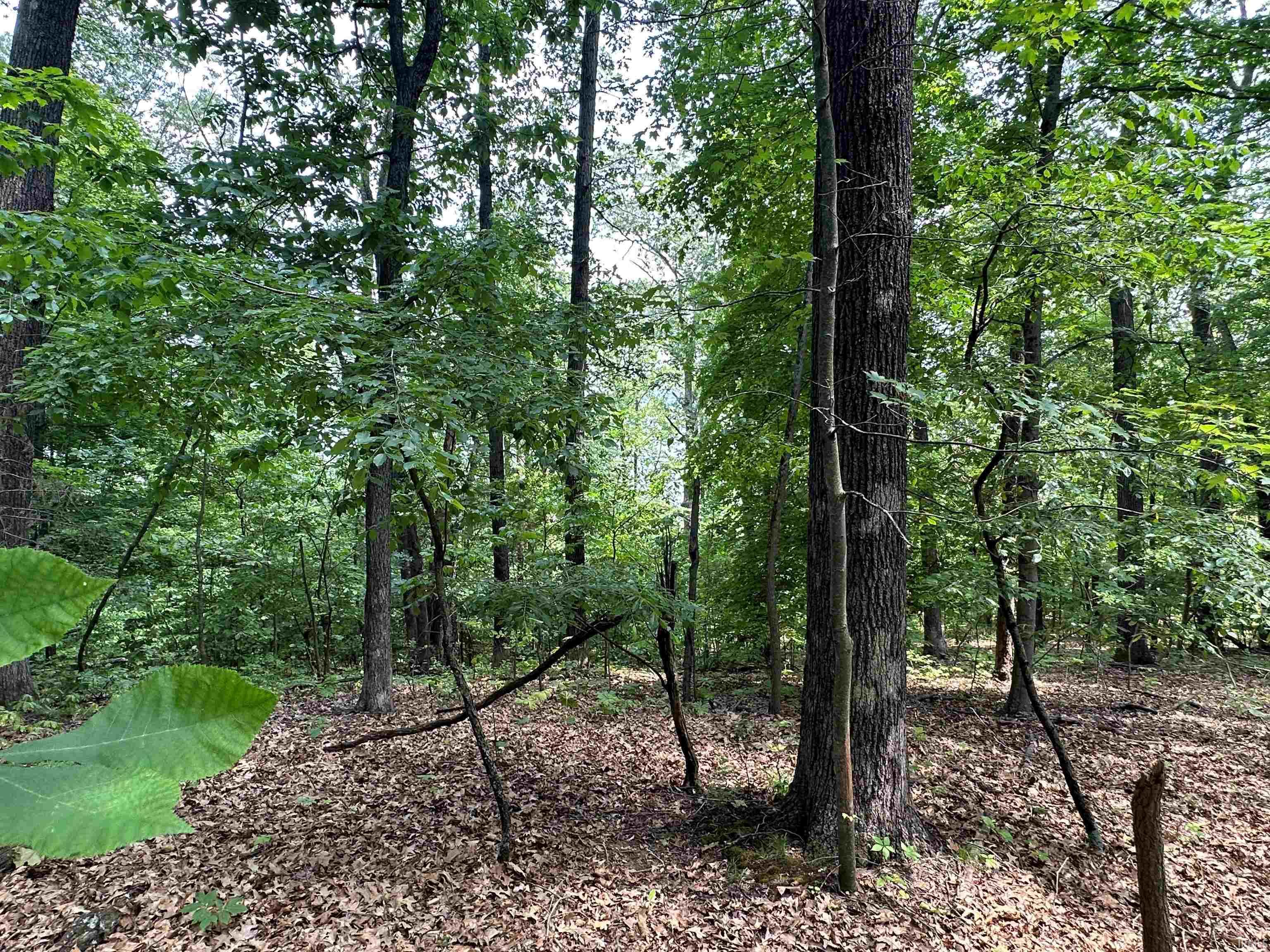 3590 East Cleve Butcher Road Bloomington, IN 47401 - Photo 18 of 31 Gallery Image 18