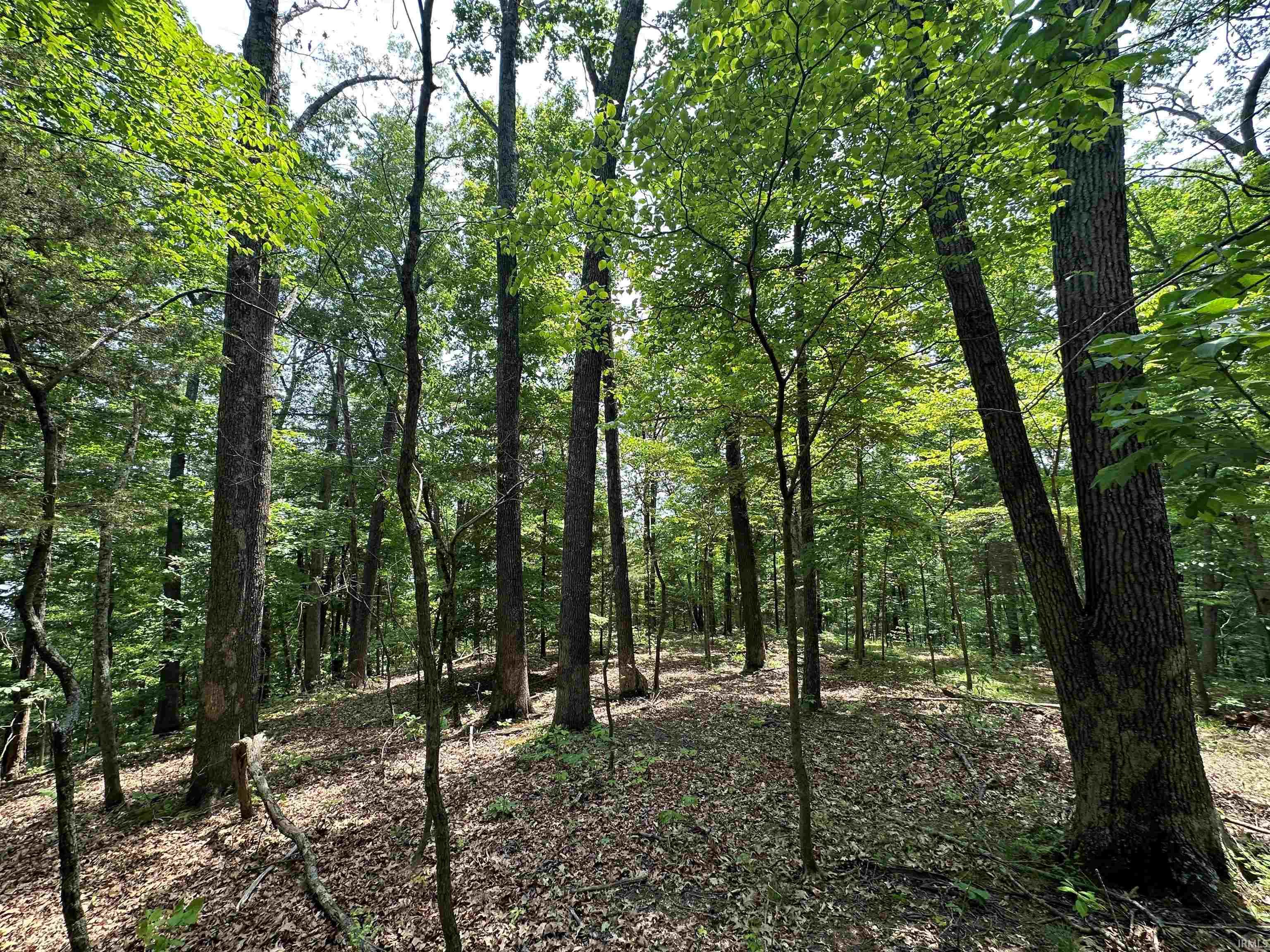 3590 East Cleve Butcher Road Bloomington, IN 47401 - Photo 20 of 31 Gallery Image 20