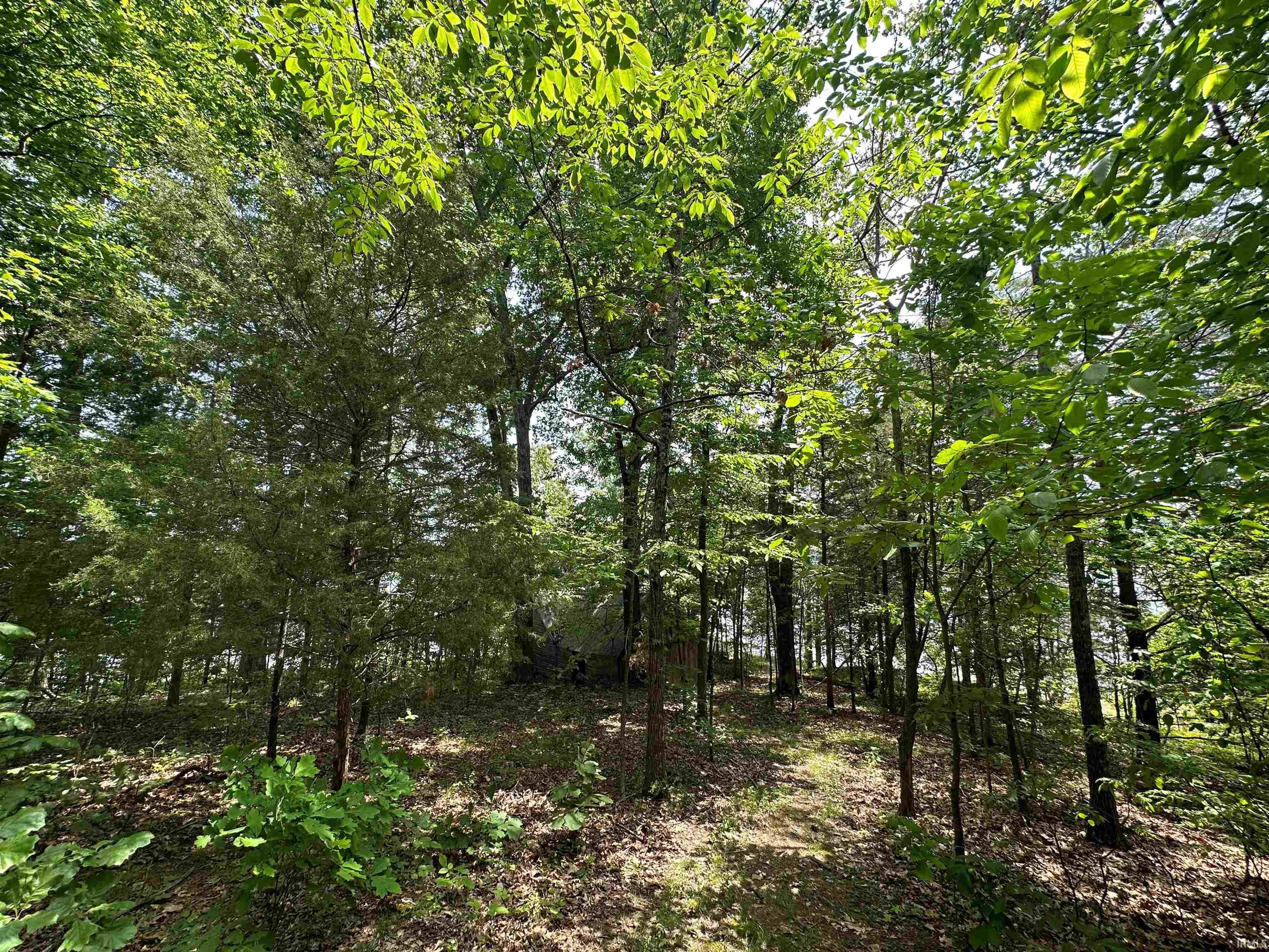 3590 East Cleve Butcher Road Bloomington, IN 47401 - Photo 21 of 31 Gallery Image 21