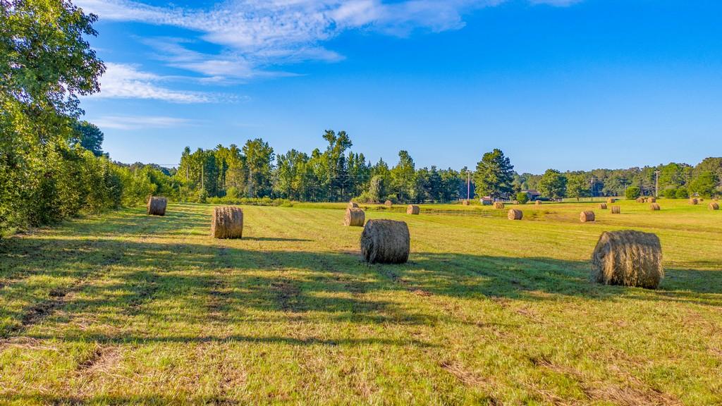 0 Edgeman Road Ringgold, GA 30736 - Photo 12 of 13 DJI_0085-HDR