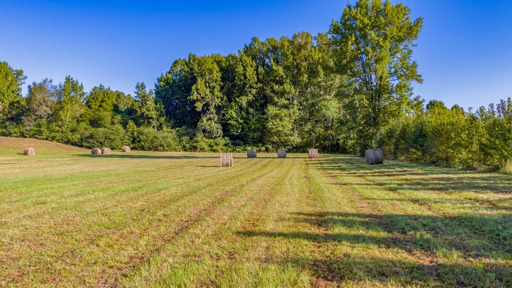 0 Edgeman Road Ringgold, GA 30736 - Photo 10 of 13 DJI_0073-HDR