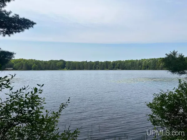 $75,000 | Parcel 1 Grant Lake Road, Republic, MI 49879