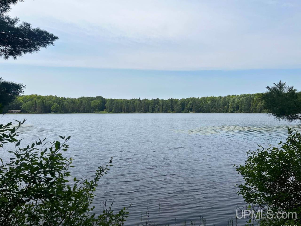 Parcel 1 Grant Lake Road Republic, MI 49879 - Photo 1 of 23