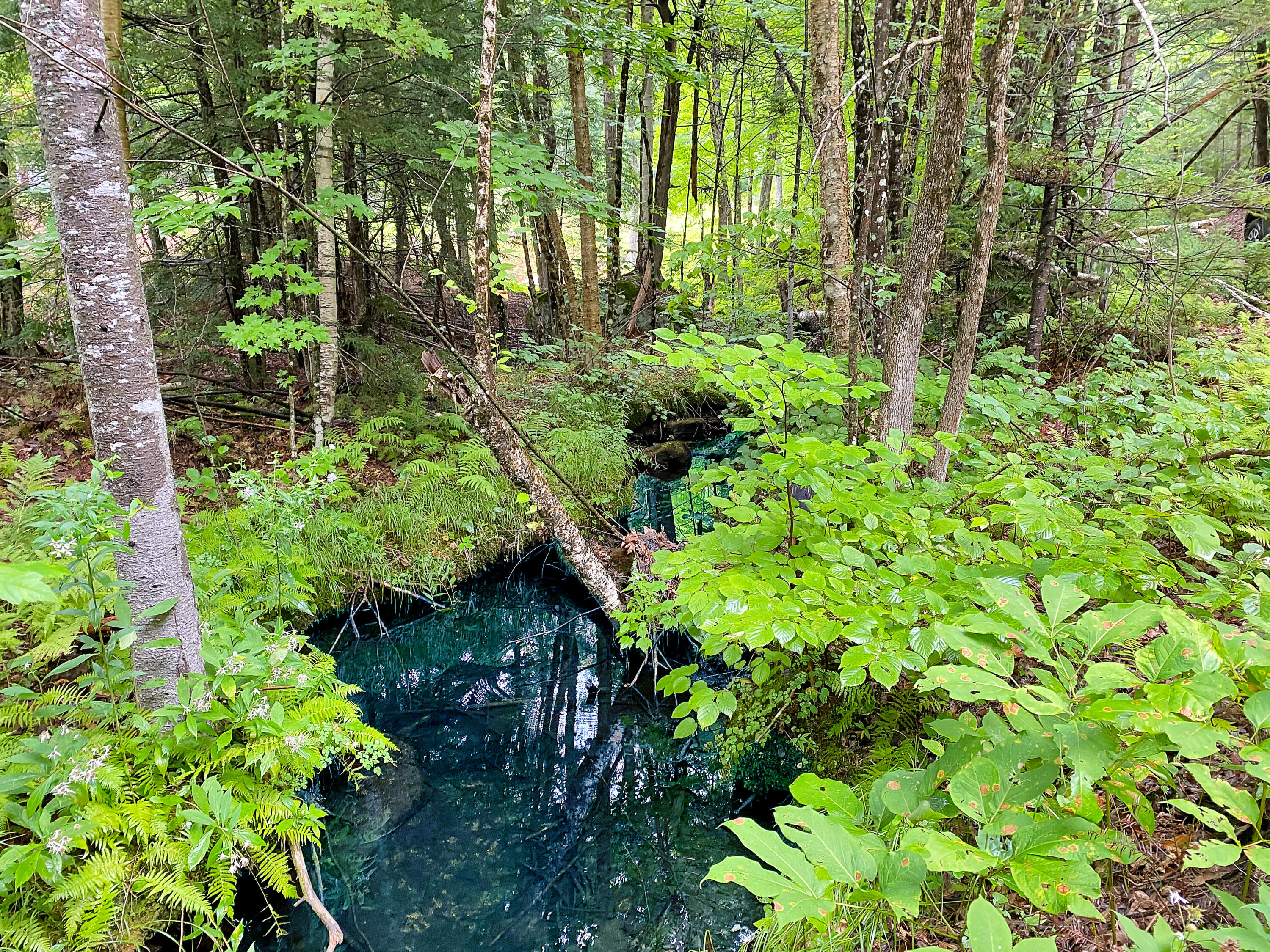 108 Ragged Jack Mountain Road Hartford, ME 04220 - Photo 12 of 42 IMG_3403