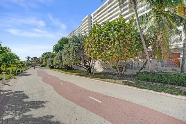 a road view with large trees