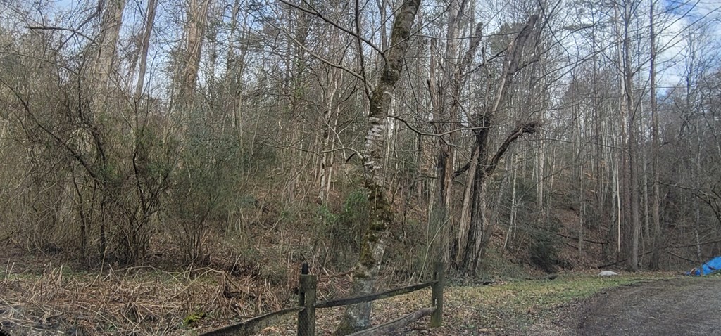 0 Newman Road Gatlinburg, TN 37738 - Photo 2 of 12