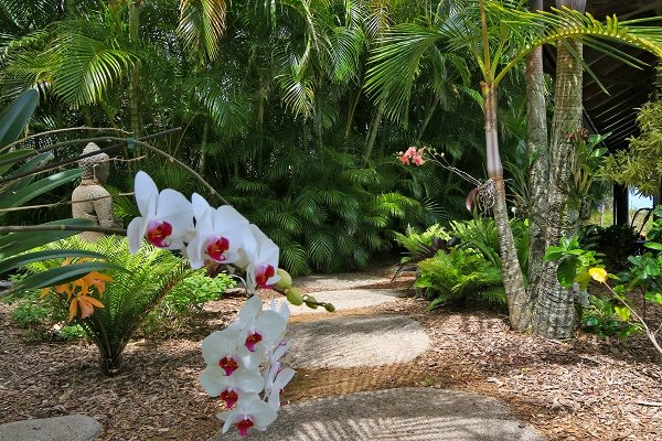 560 North Holokai Road Haiku, HI 96708 - Photo 16 of 30