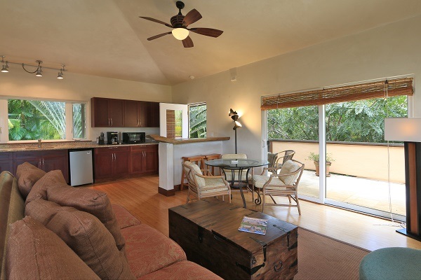 560 North Holokai Road Haiku, HI 96708 - Photo 21 of 30 a living room with furniture a flat screen tv and a large window