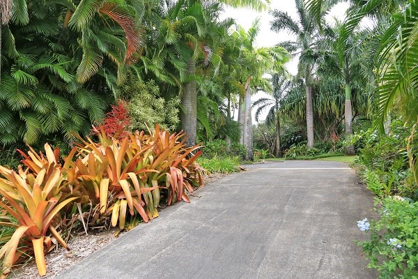 560 North Holokai Road Haiku, HI 96708 - Photo 25 of 30